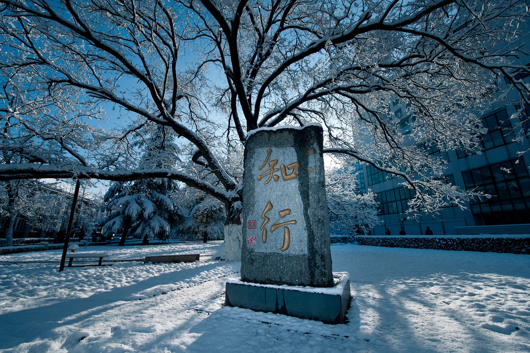 太阳网集团tcy8722