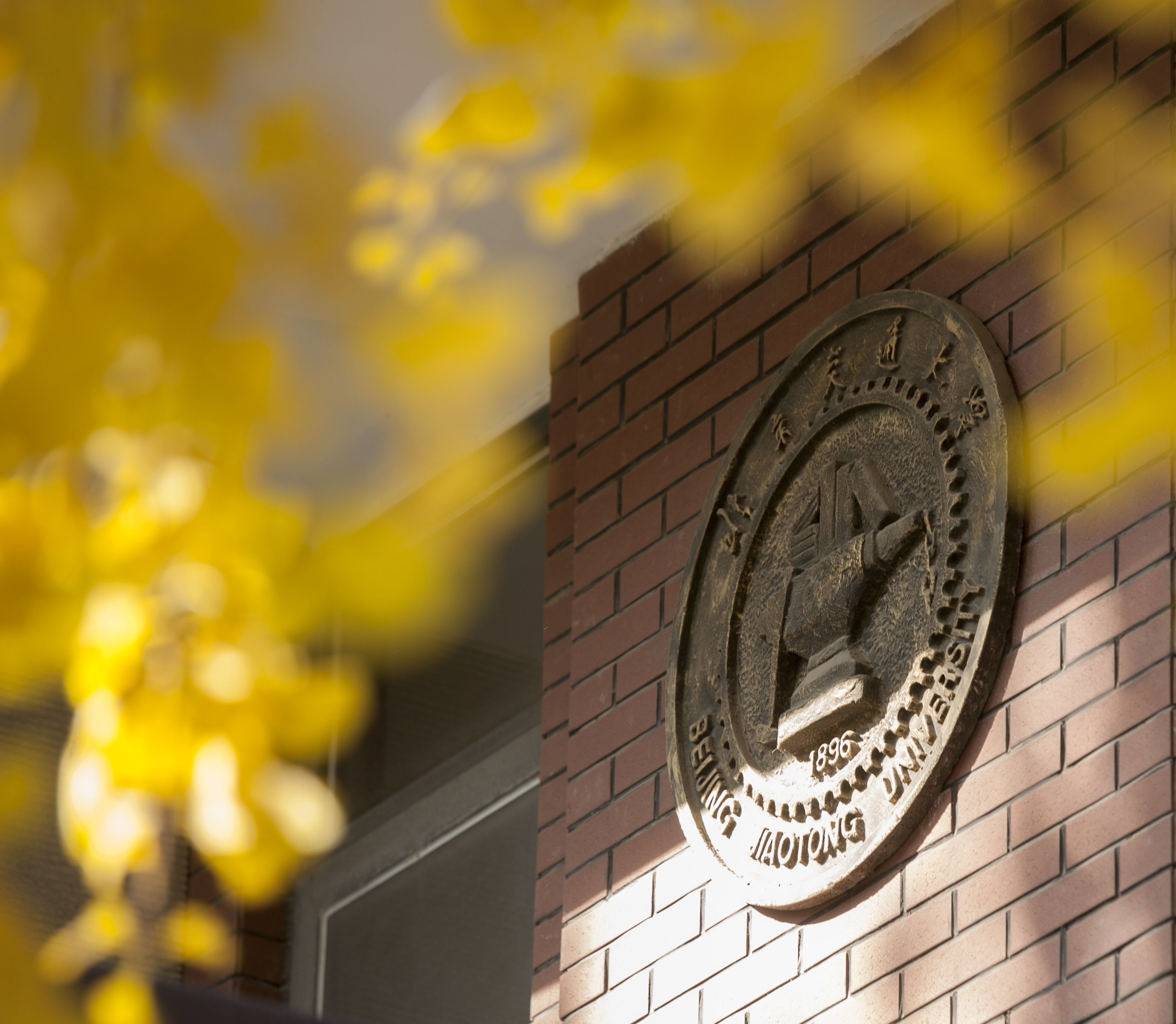 太阳网集团tcy8722